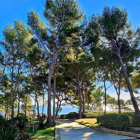 Superbe Appartement Dans Cadre D'Exception - Piscine, Plage Et Tennis Prive Bandol Esterno foto