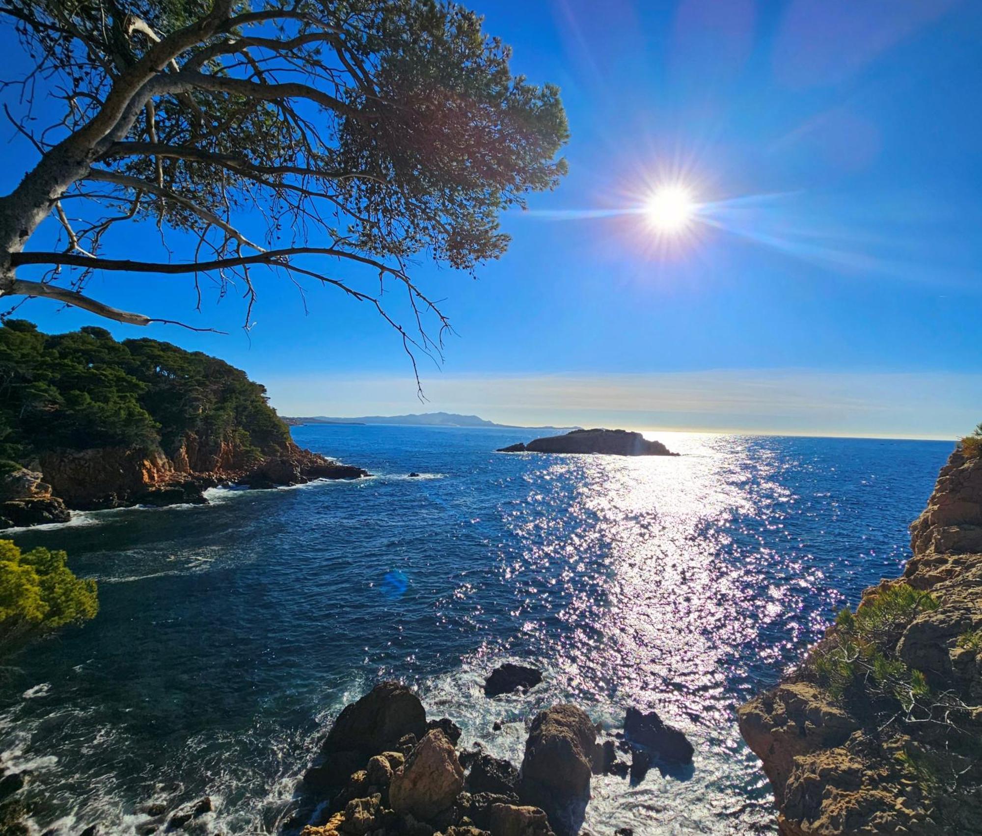 Superbe Appartement Dans Cadre D'Exception - Piscine, Plage Et Tennis Prive Bandol Esterno foto