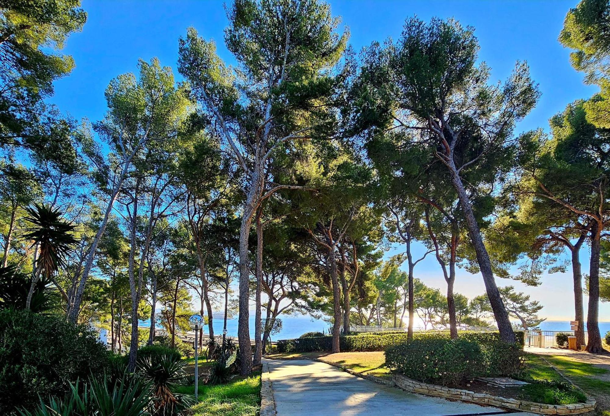 Superbe Appartement Dans Cadre D'Exception - Piscine, Plage Et Tennis Prive Bandol Esterno foto